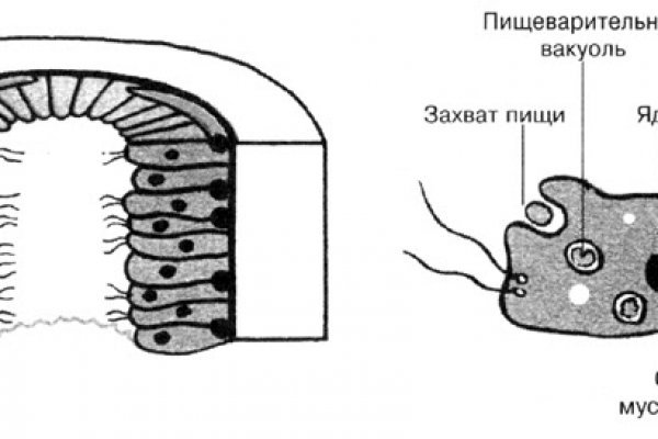 Кракен сайт зеркало рабочее