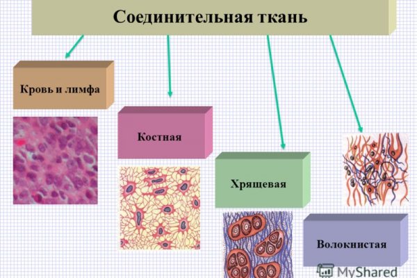 Кракен официальное зеркало 2024