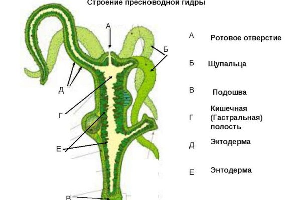 Зеркала на кракен kraken014 com