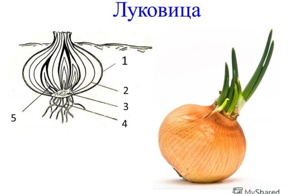 Кракен купить порошок маркетплейс